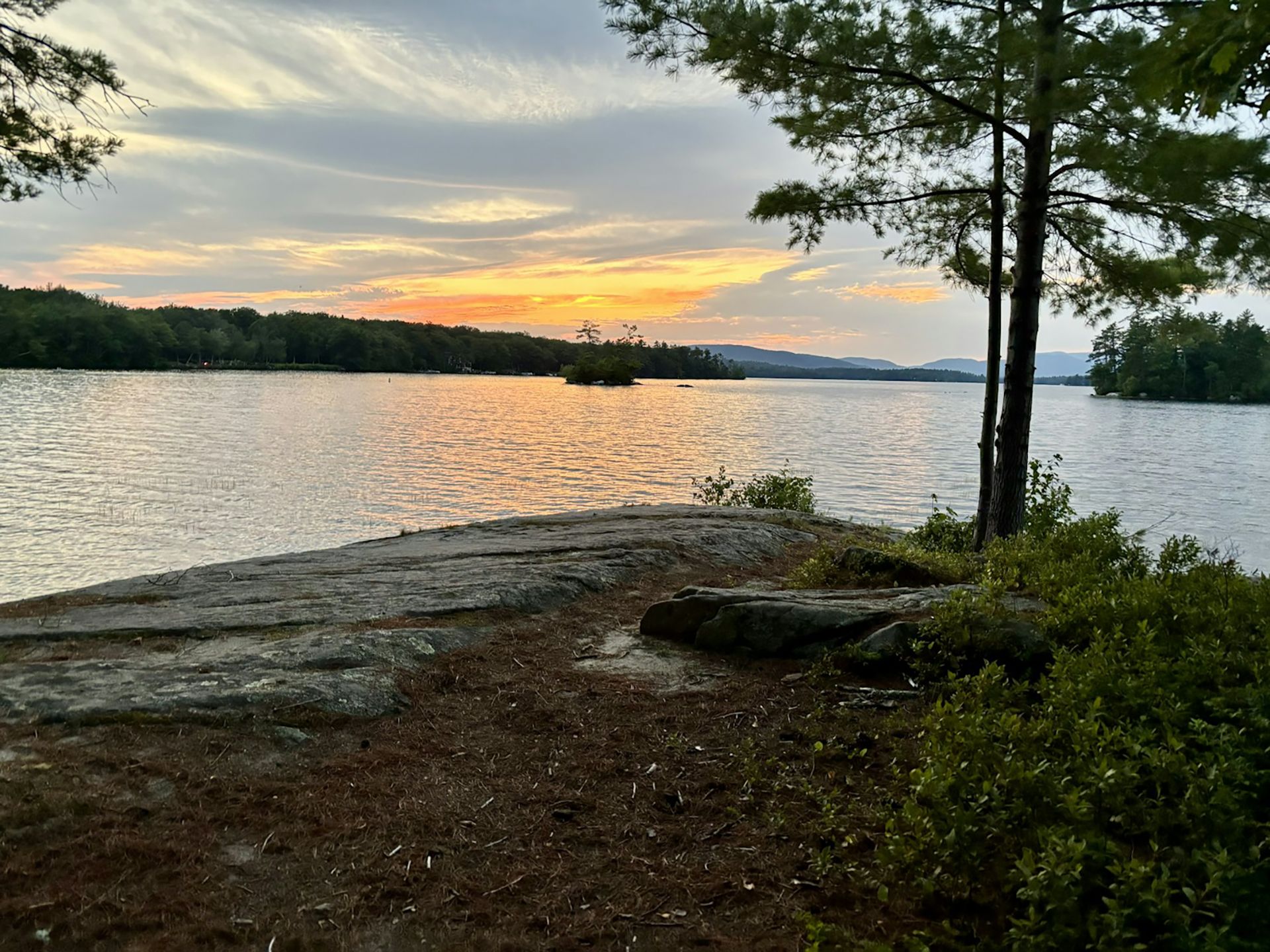 Lakeside view through trees on a cloudy day. Brown ground with small logs, water in the distance.