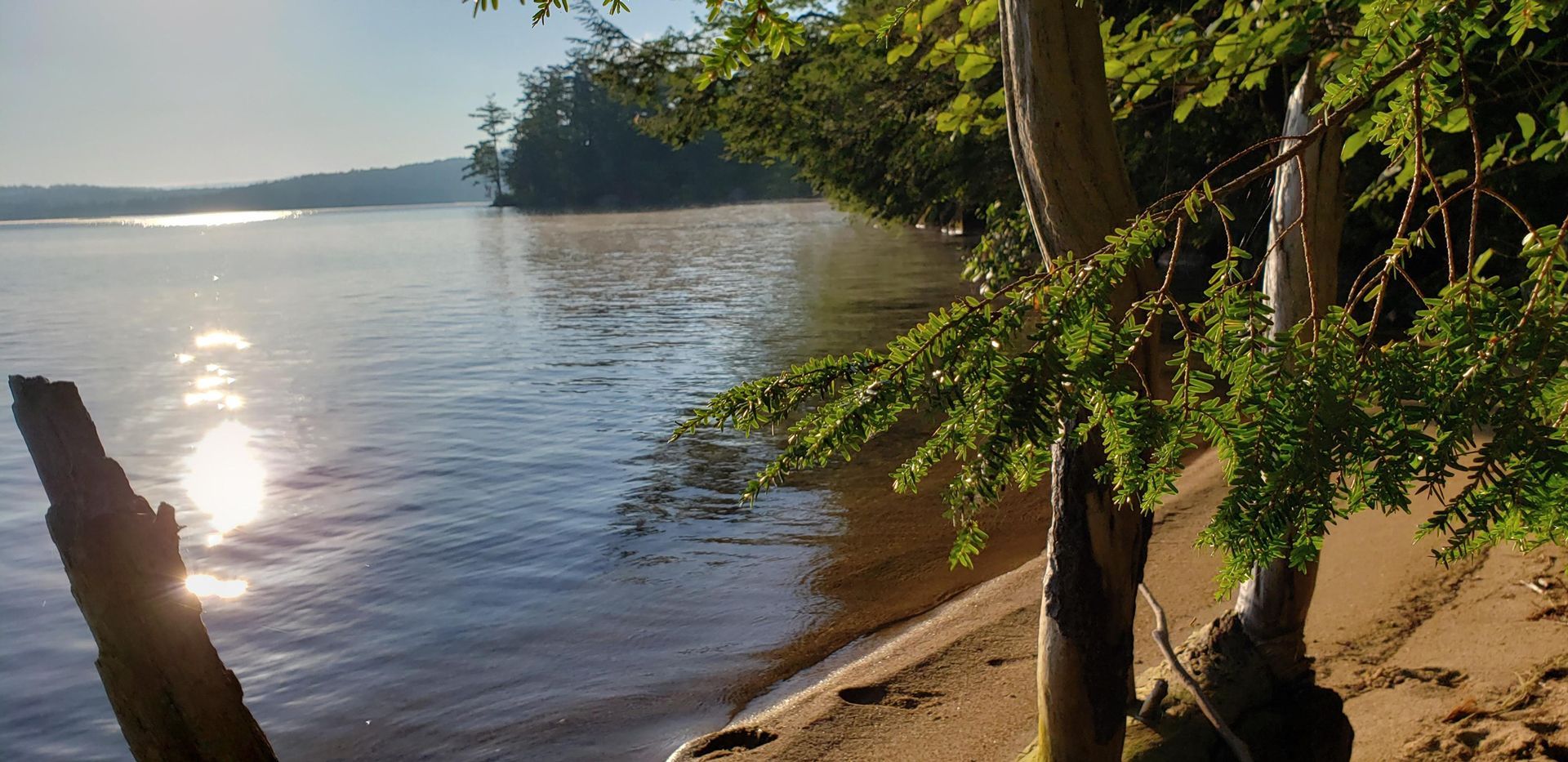 Sunrise over a lake, with trees and a sandy shoreline in the foreground.