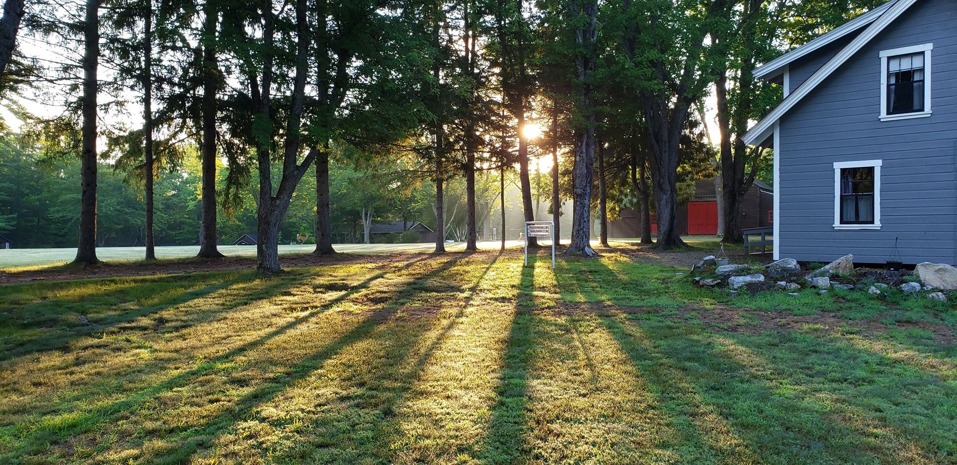 Sunlight streams through trees, casting long shadows on a grassy field. A blue house stands on the right.