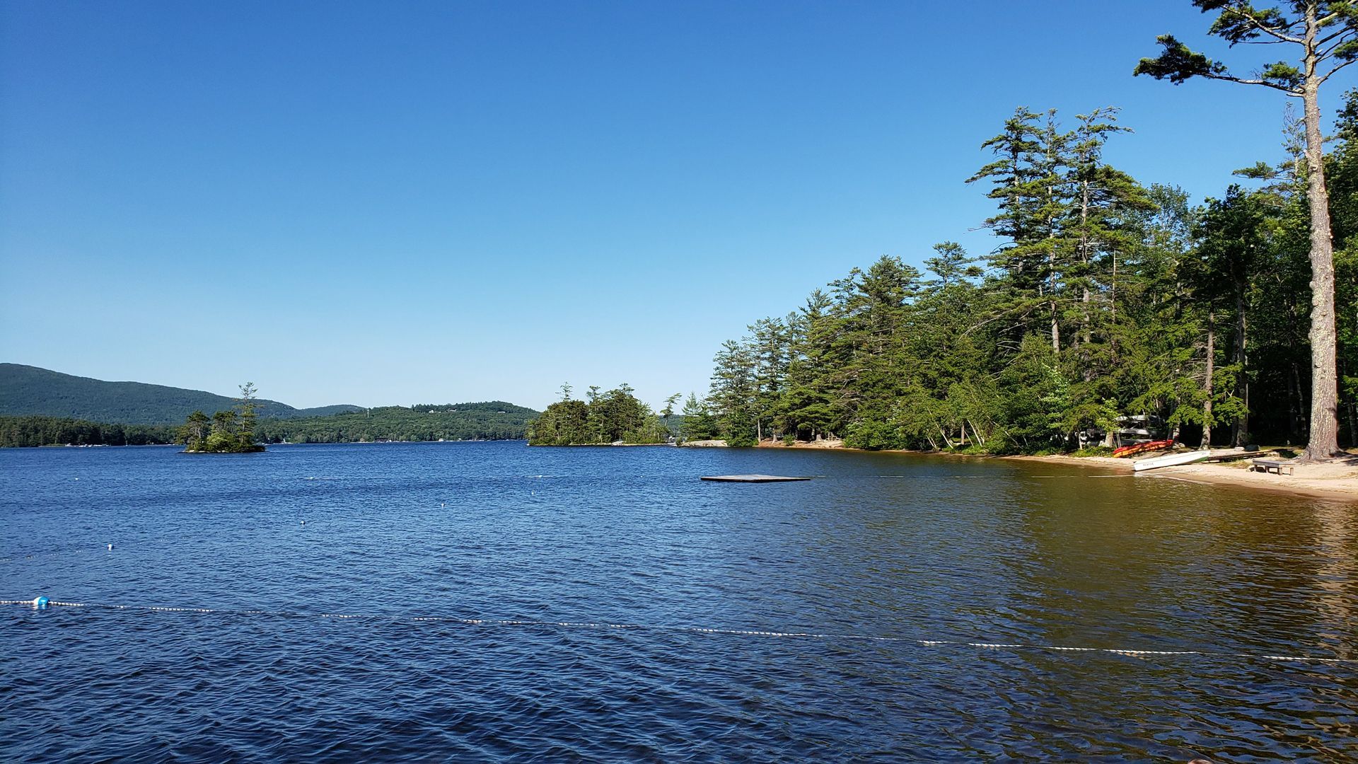 Lake view with trees, sandy shore, and clear blue sky.