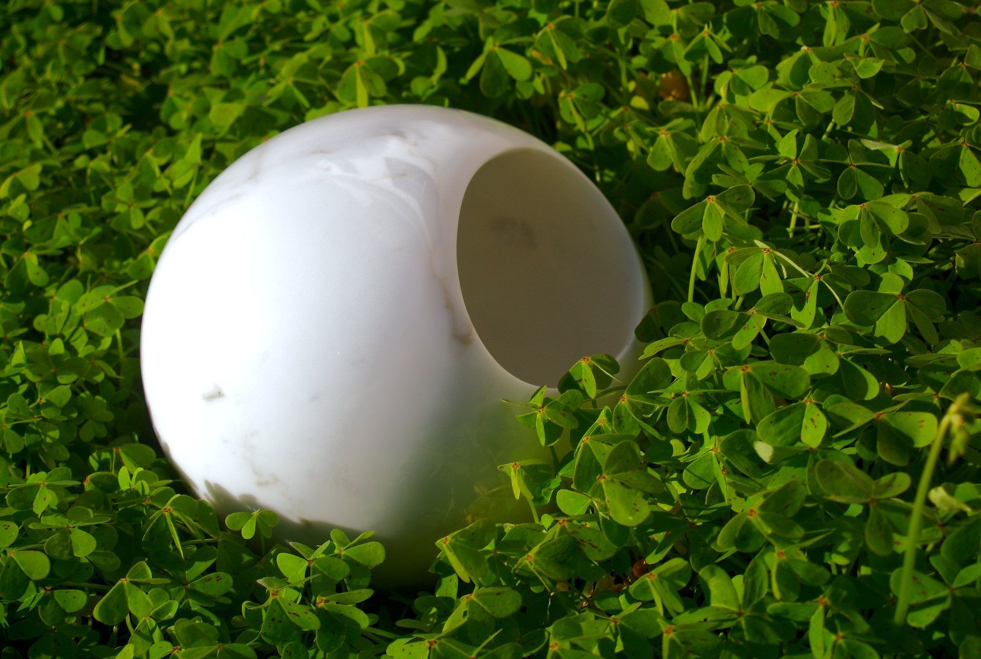 BallBloom Monostudio.design