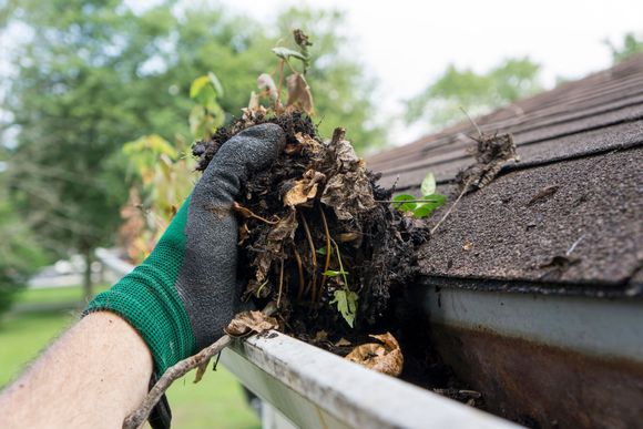 Gloved hand removing leaves and debris from a gutter on a roof.