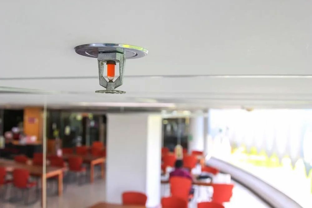 Fire Sprinkler Head Installed on a White Ceiling in a Public Building — FNQ Smoke Alarms & Maintenance in Yungaburra, QLD