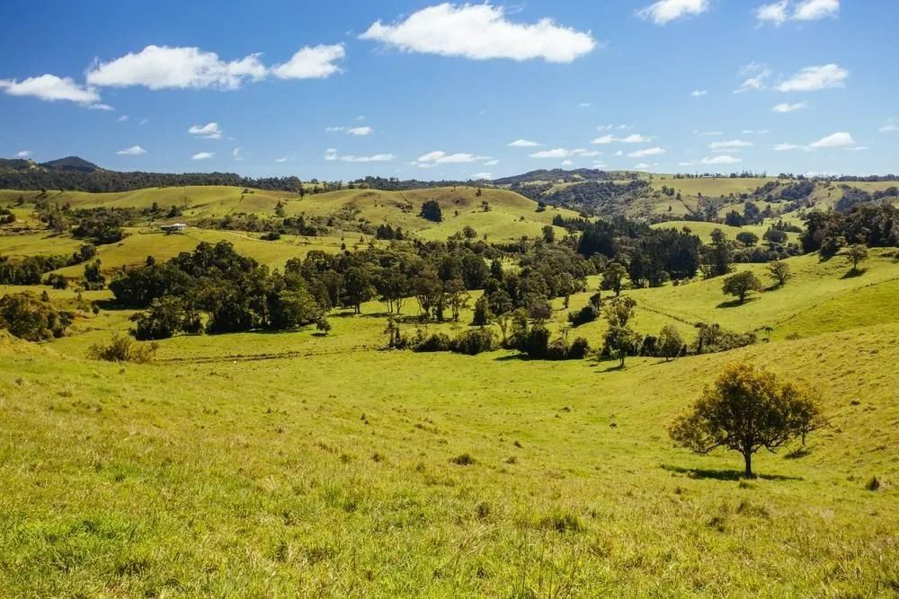 Green Rolling Hills Dotted With Trees  — FNQ Smoke Alarms & Maintenance in Atherton, QLD