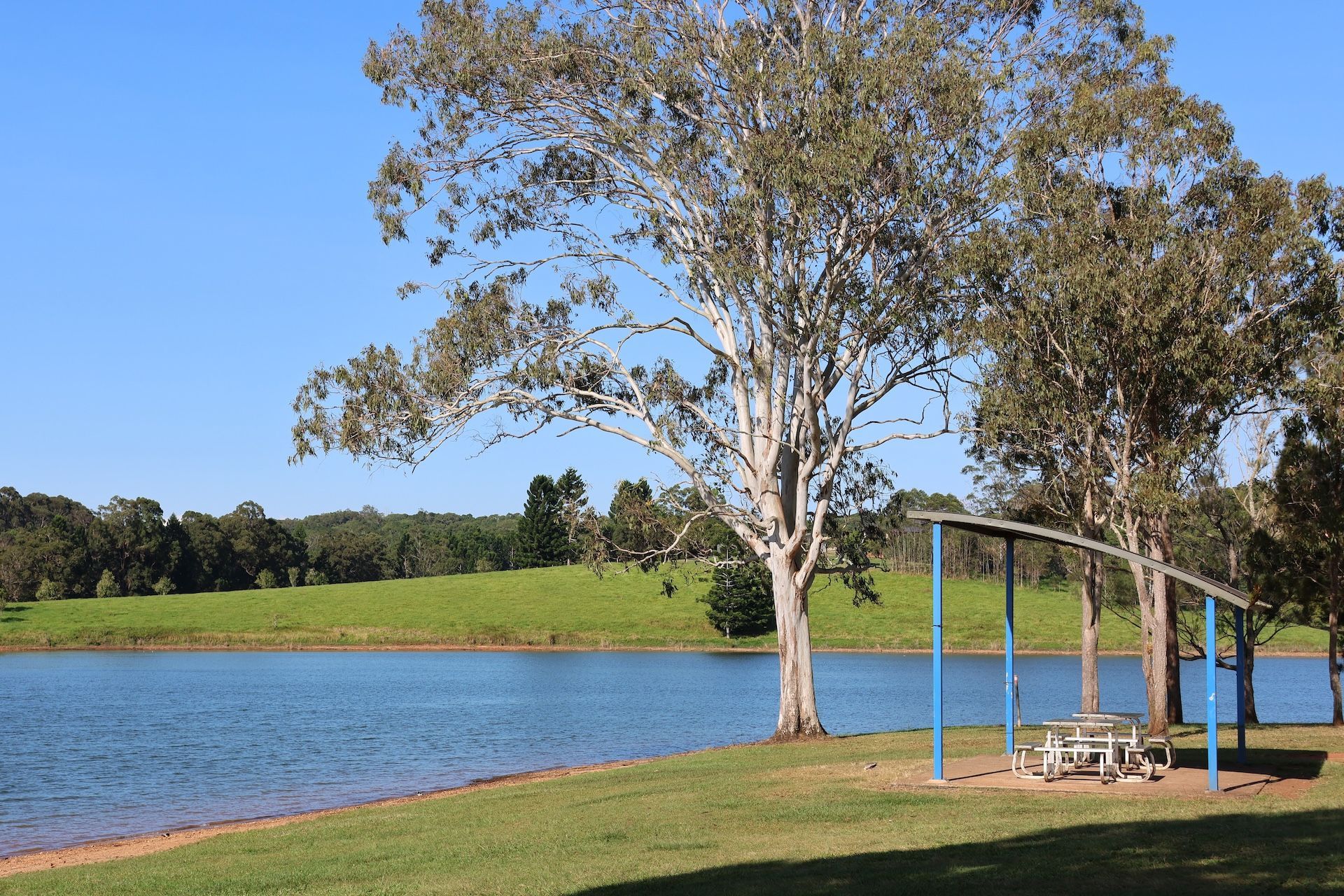 Lakeside picnic area with blue water, green grass, large trees, and a picnic table under a shelter, clear blue sky — FNQ Smoke Alarms & Maintenance in Yungaburra, QLD