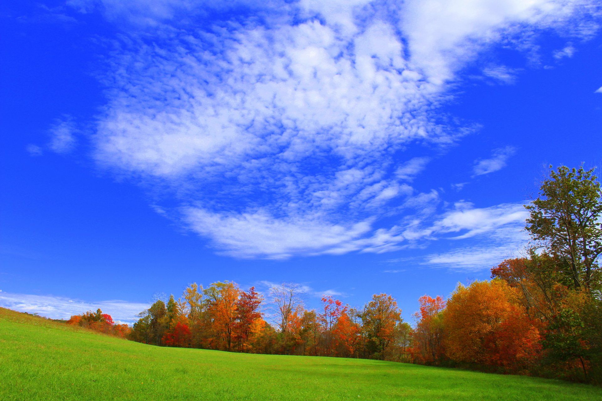 Vibrant blue sky with fluffy white clouds above a green field and colorful autumn trees.
