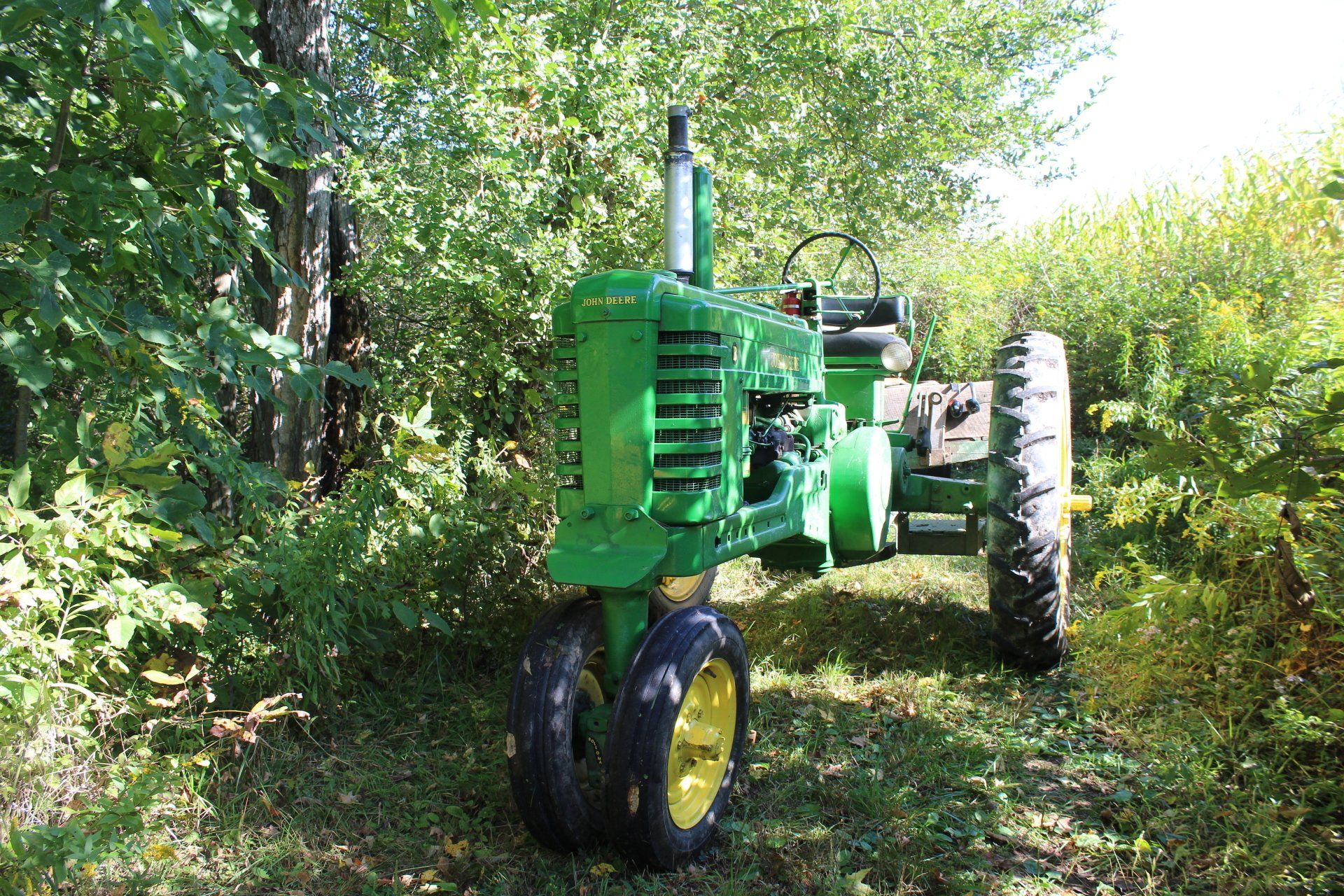Spring at Dove Harbour Farm