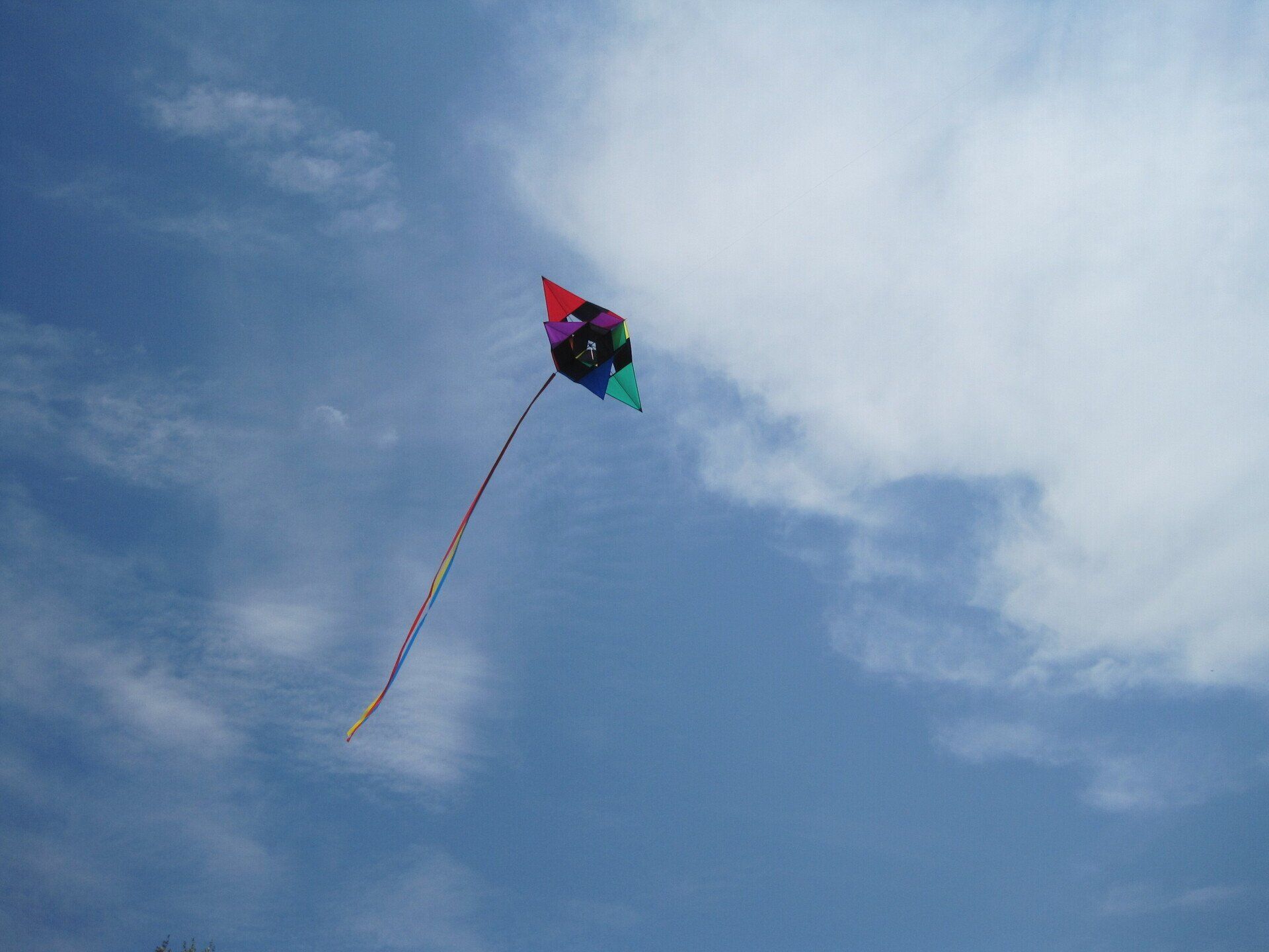 Summer at Dove Harbour Farm