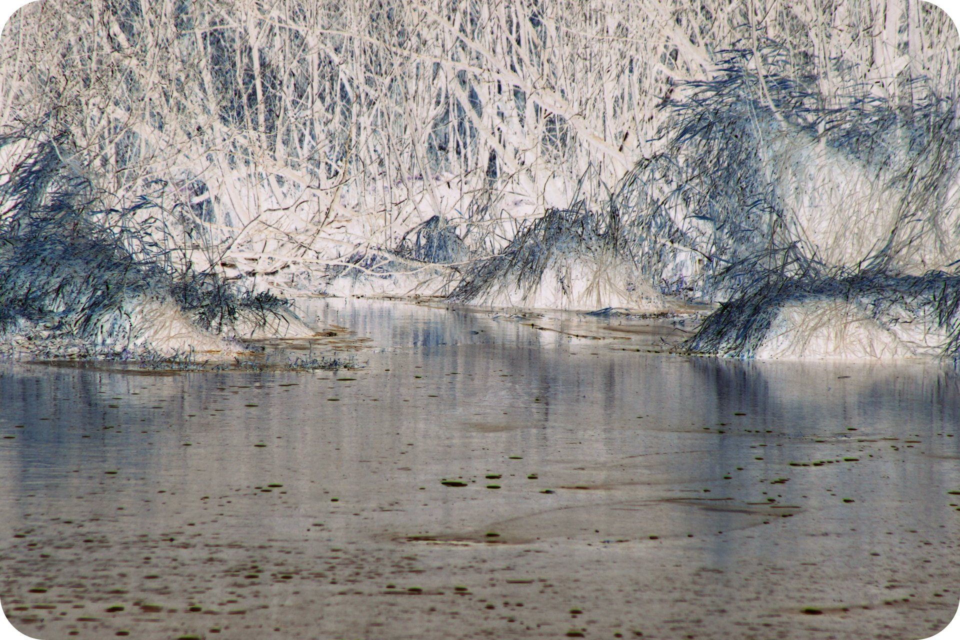 Glacial lake scene with ice formations and reflective water; pale blue and white hues.