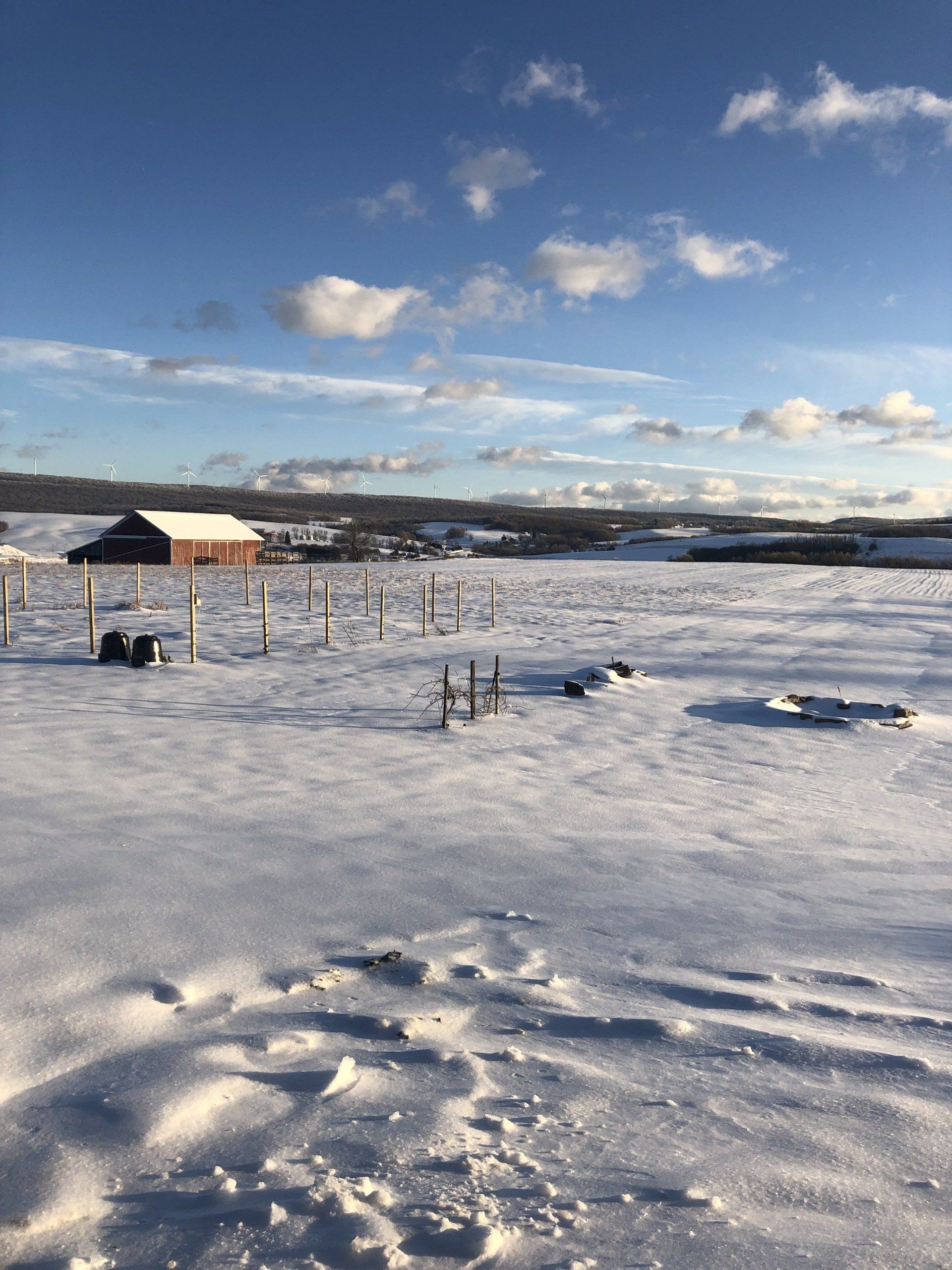 Snow-covered field with a barn in the distance under a blue sky with clouds.