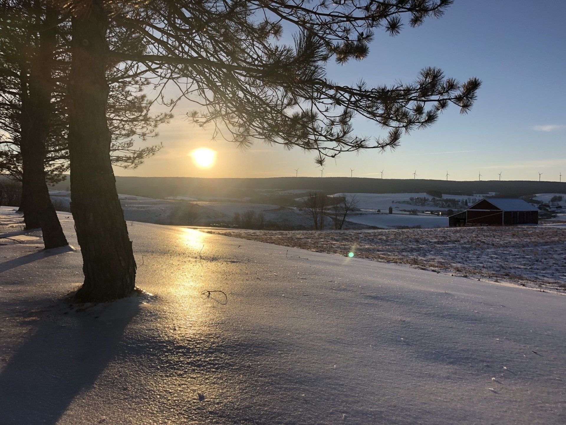 Snow-covered landscape with trees in the foreground, sun setting over a distant field and building.