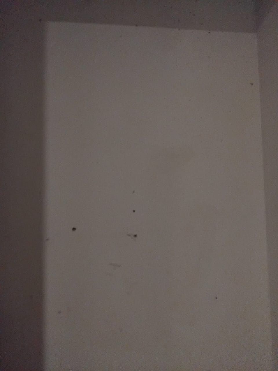 MULTISERVICIOS VARGAS MV