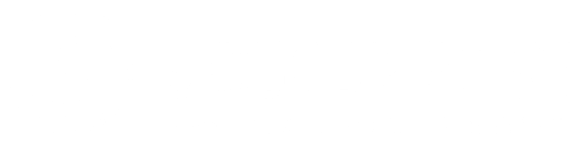 A white background with a few lines on it