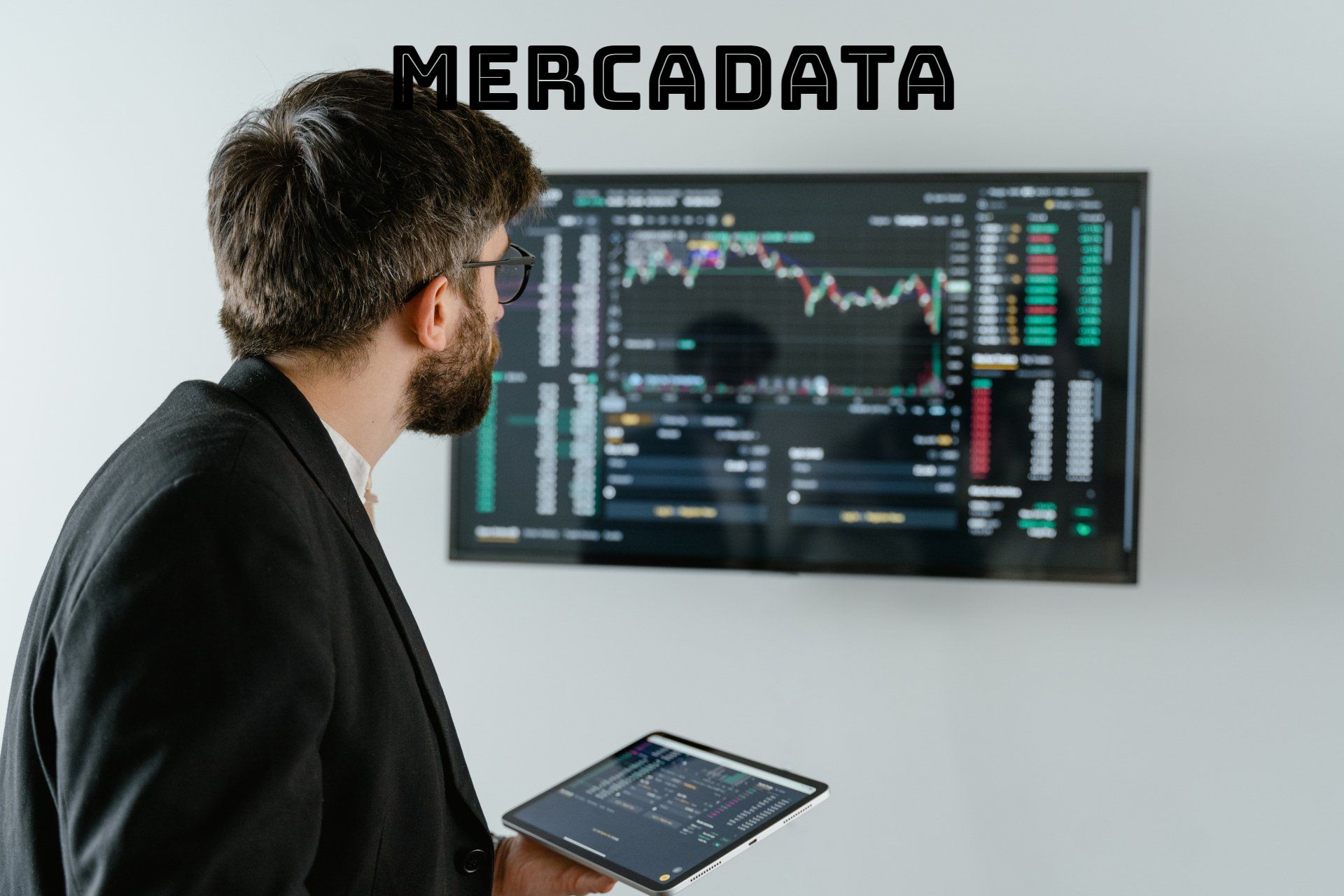 MERCADATA  agencia de mercadotecnia digital
