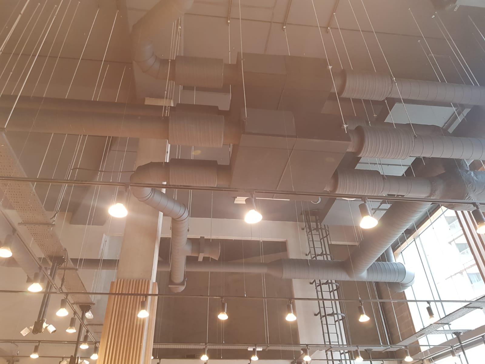 Tian Tian Canning Town