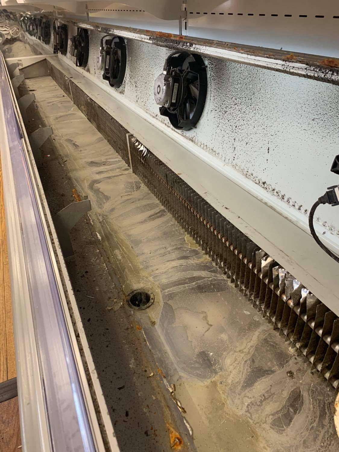 CASE CLEANING AND HYGIENE SERVICES