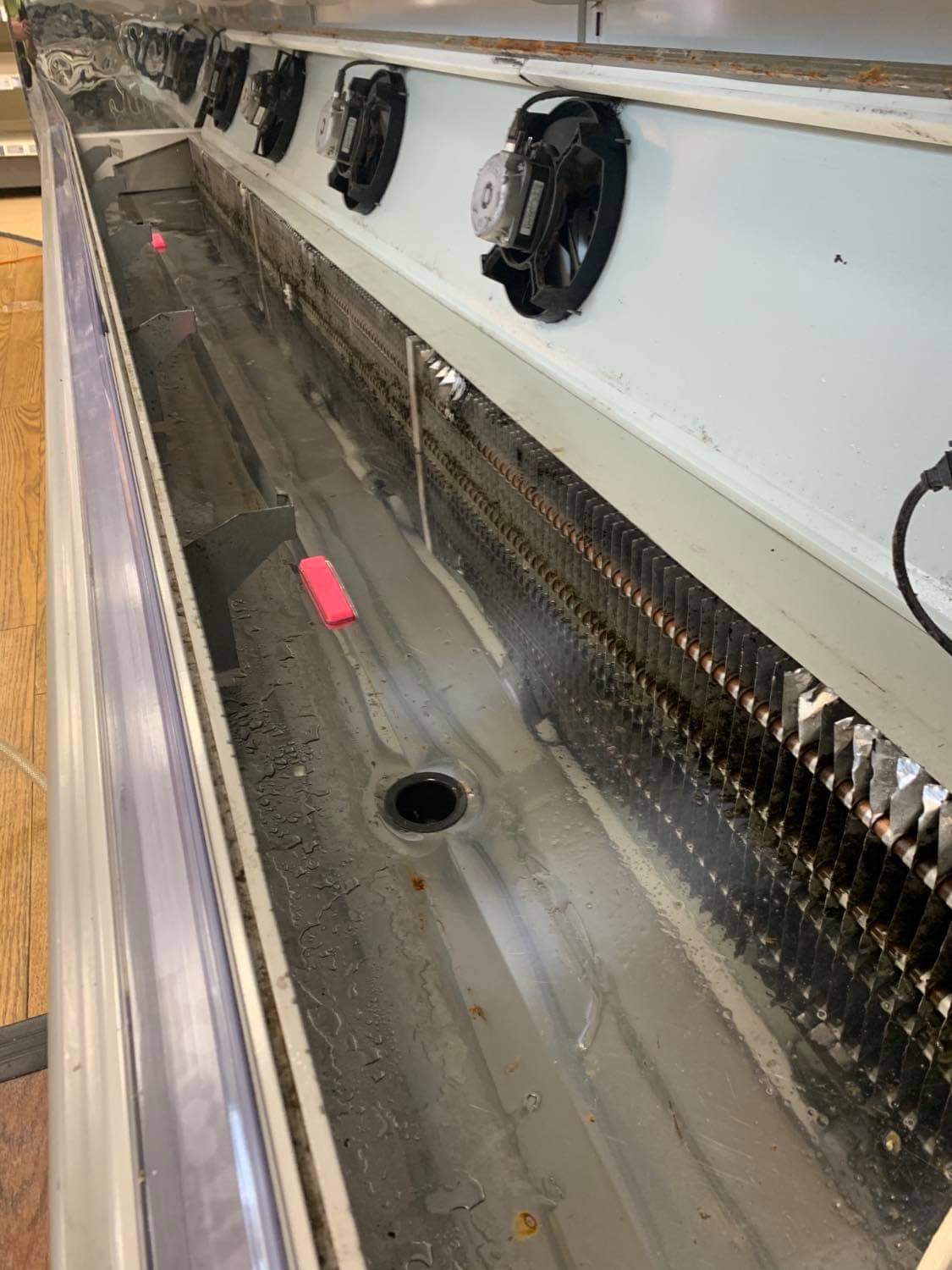 CASE CLEANING AND HYGIENE SERVICES