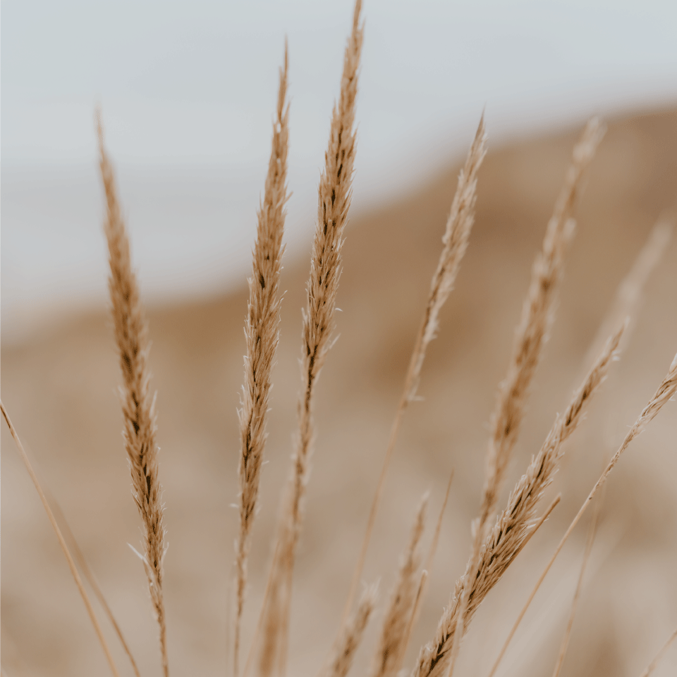 dailytills, pakket, prijs, prijzen, hoge resolutie, digitaal, fotograaf, shannon zwart