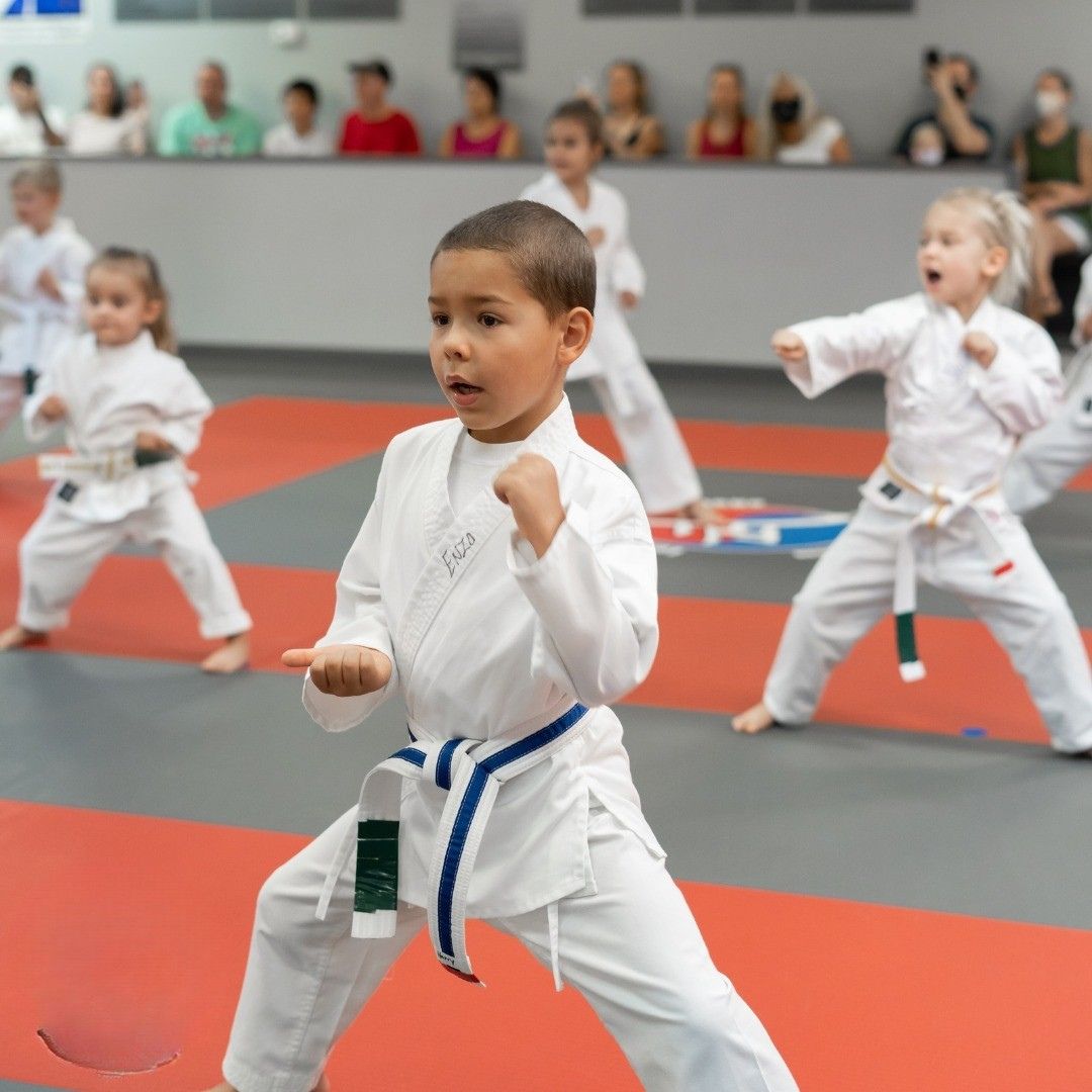 kids martial arts