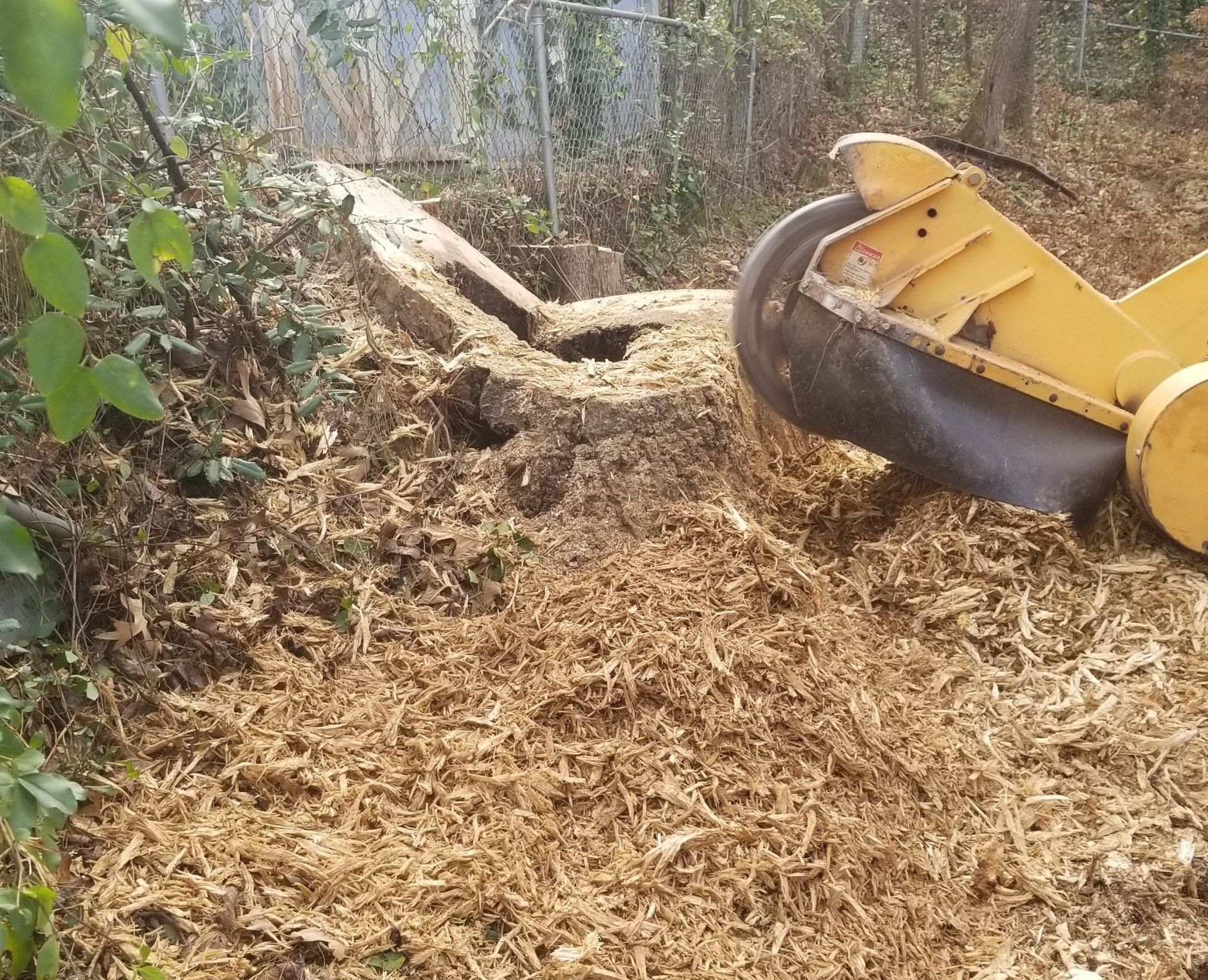 About Eddy's Tree Service & Landscaping LLC