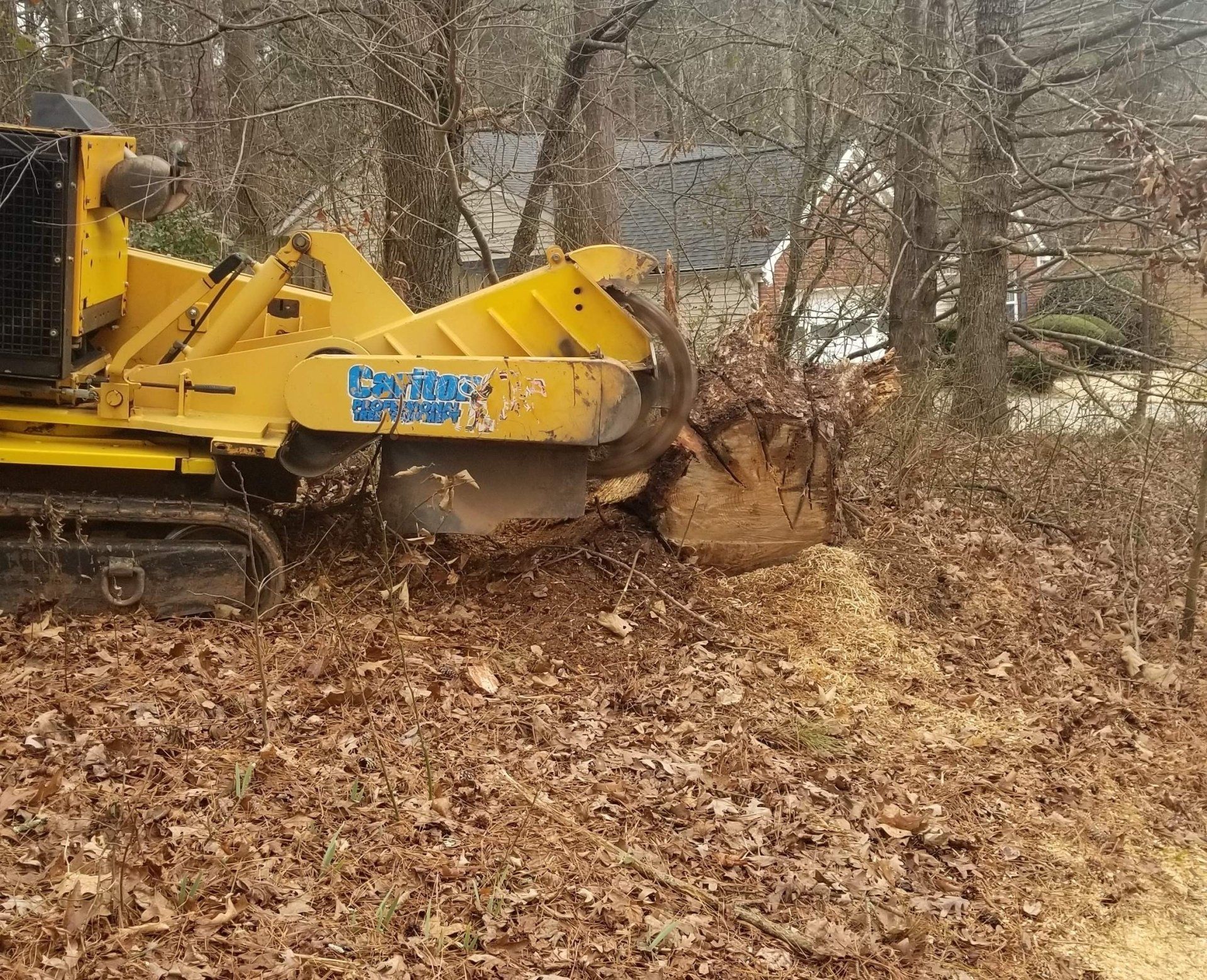 About Eddy's Tree Service & Landscaping LLC