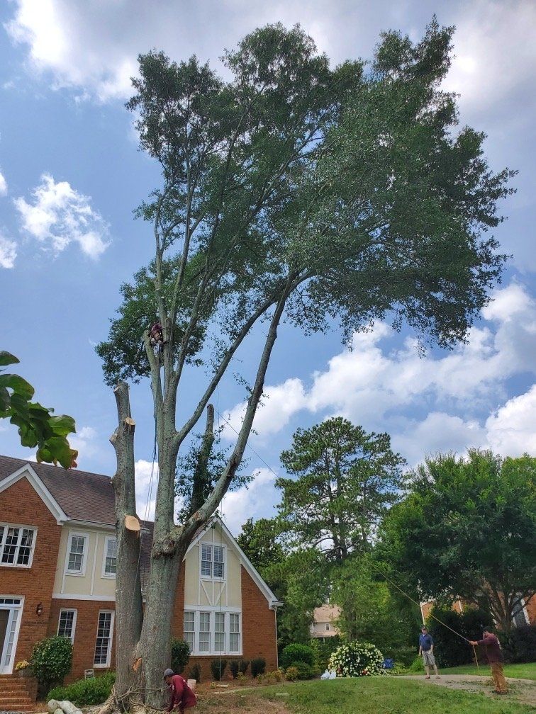 About Eddy's Tree Service & Landscaping LLC