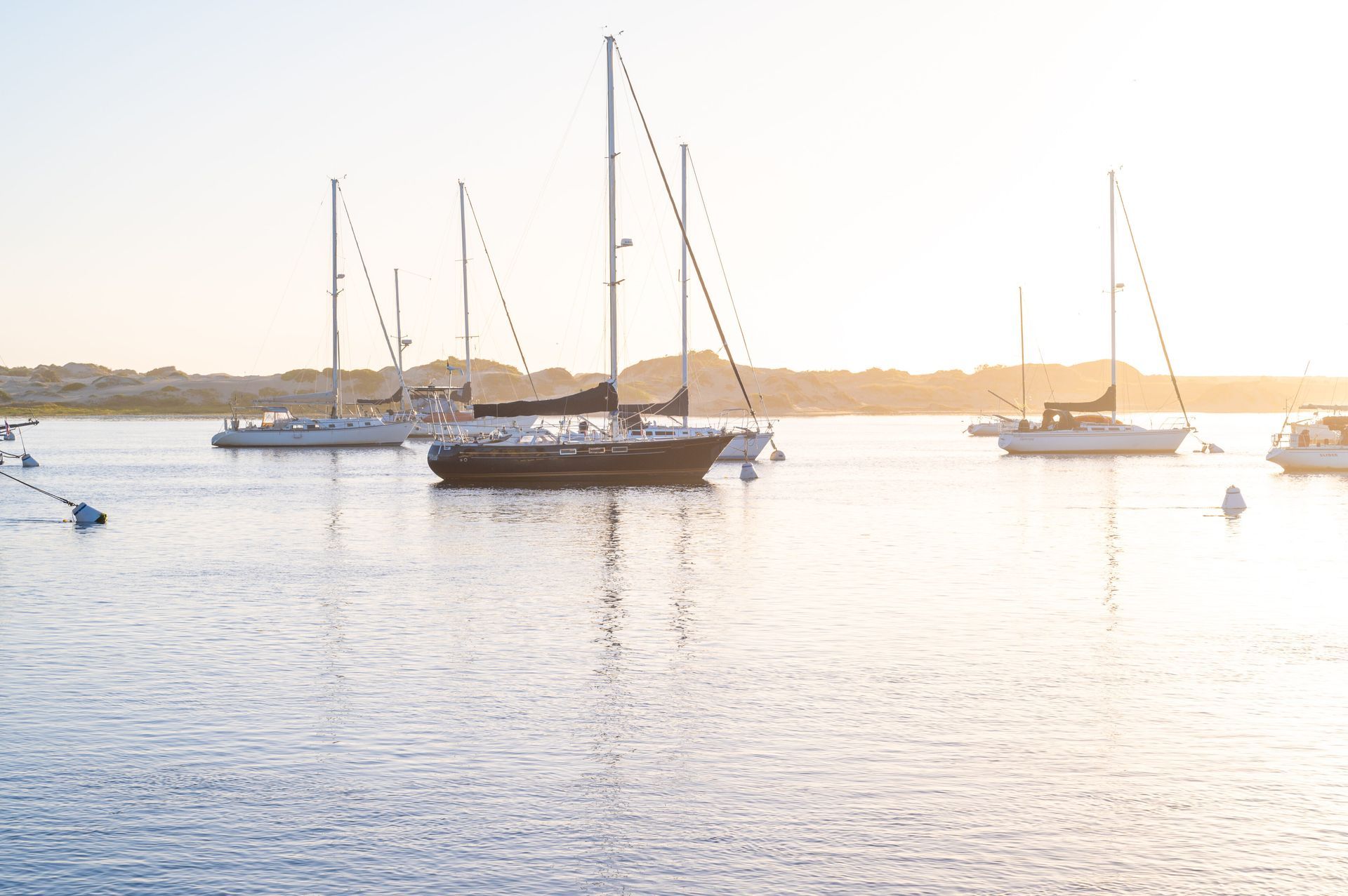 A group of sailboats are docked in a harbor at sunset.