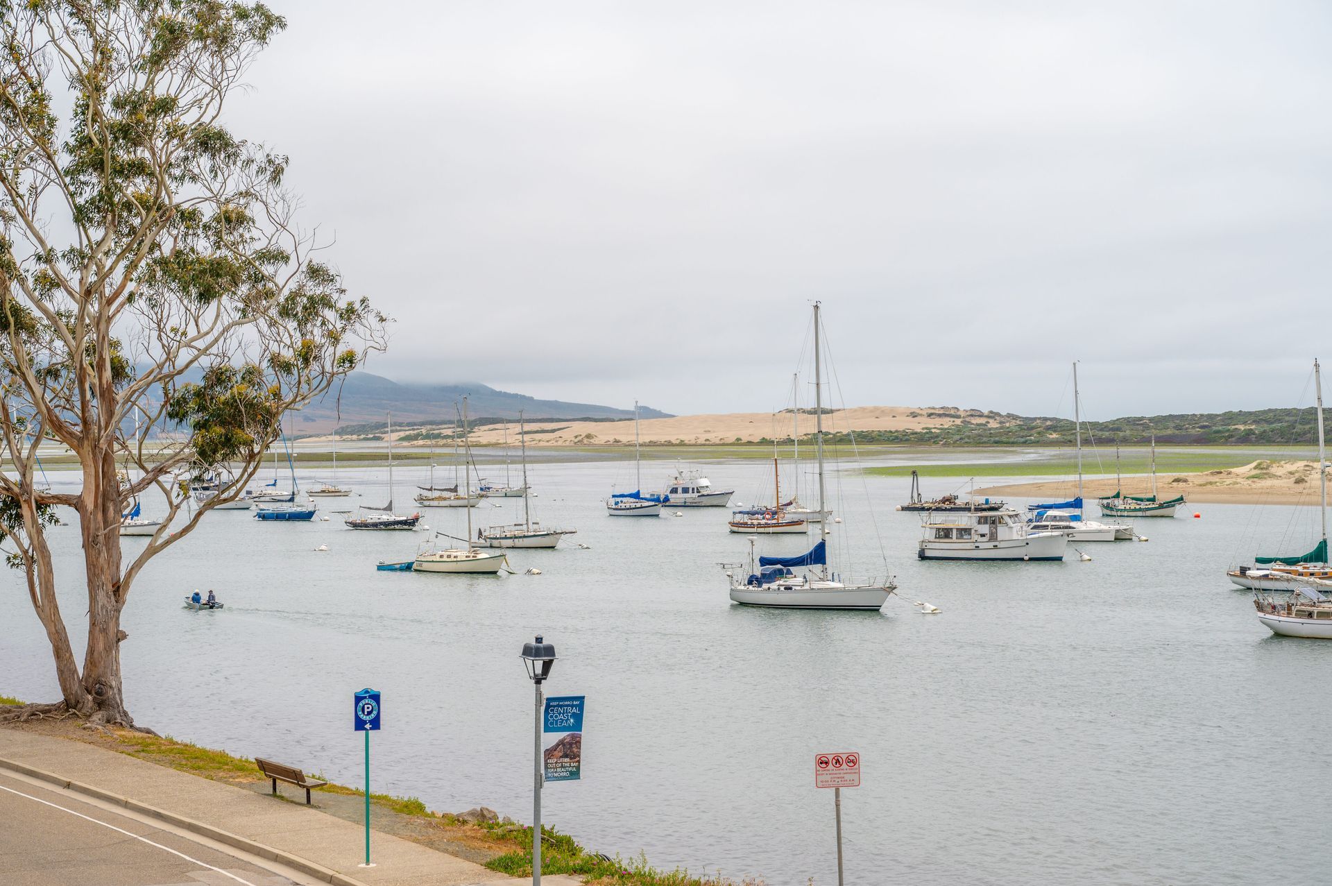 A group of boats are docked in a harbor.
