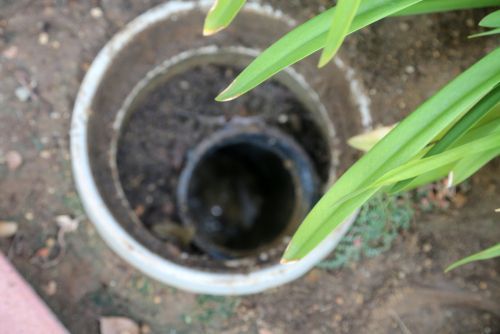 Drain Cleaning Services in Lansing, MI
