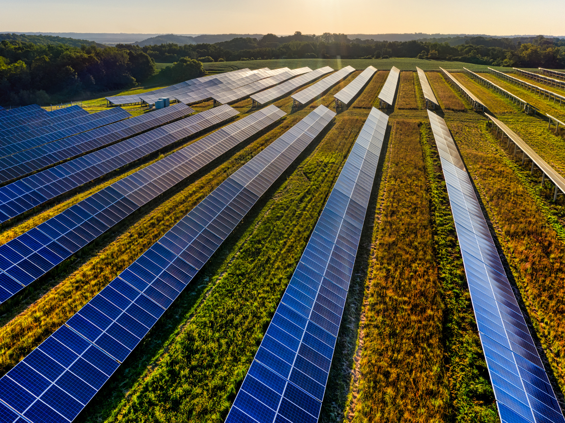 an aerial view of a row of solar panels in a field .