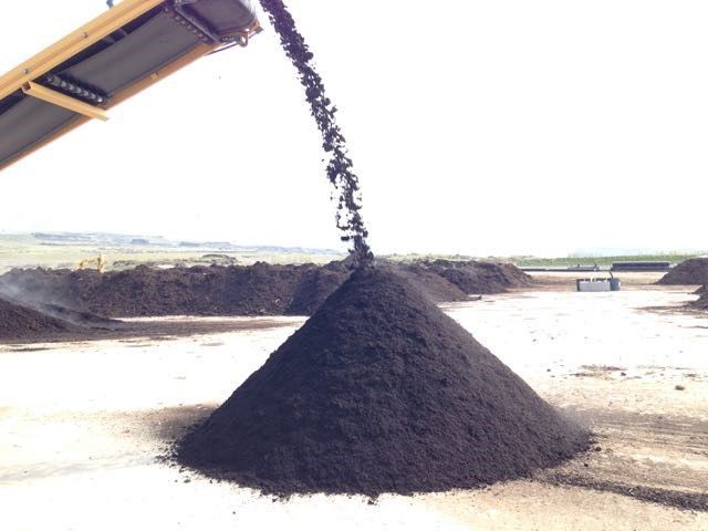 A person is holding a pile of dirt in their hands.
