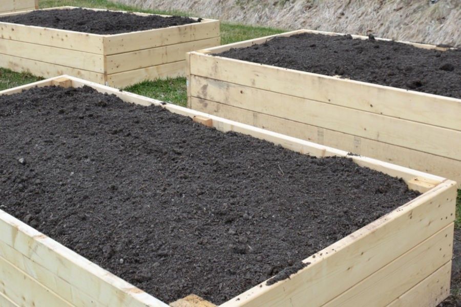 Two shovels and a hammer are sitting on top of a pile of dirt.