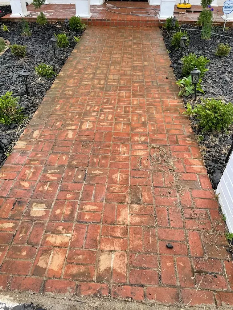 A brick walkway leading to a house surrounded by plants and rocks.