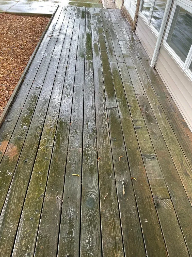 A wooden deck with moss growing on it is sitting next to a house.