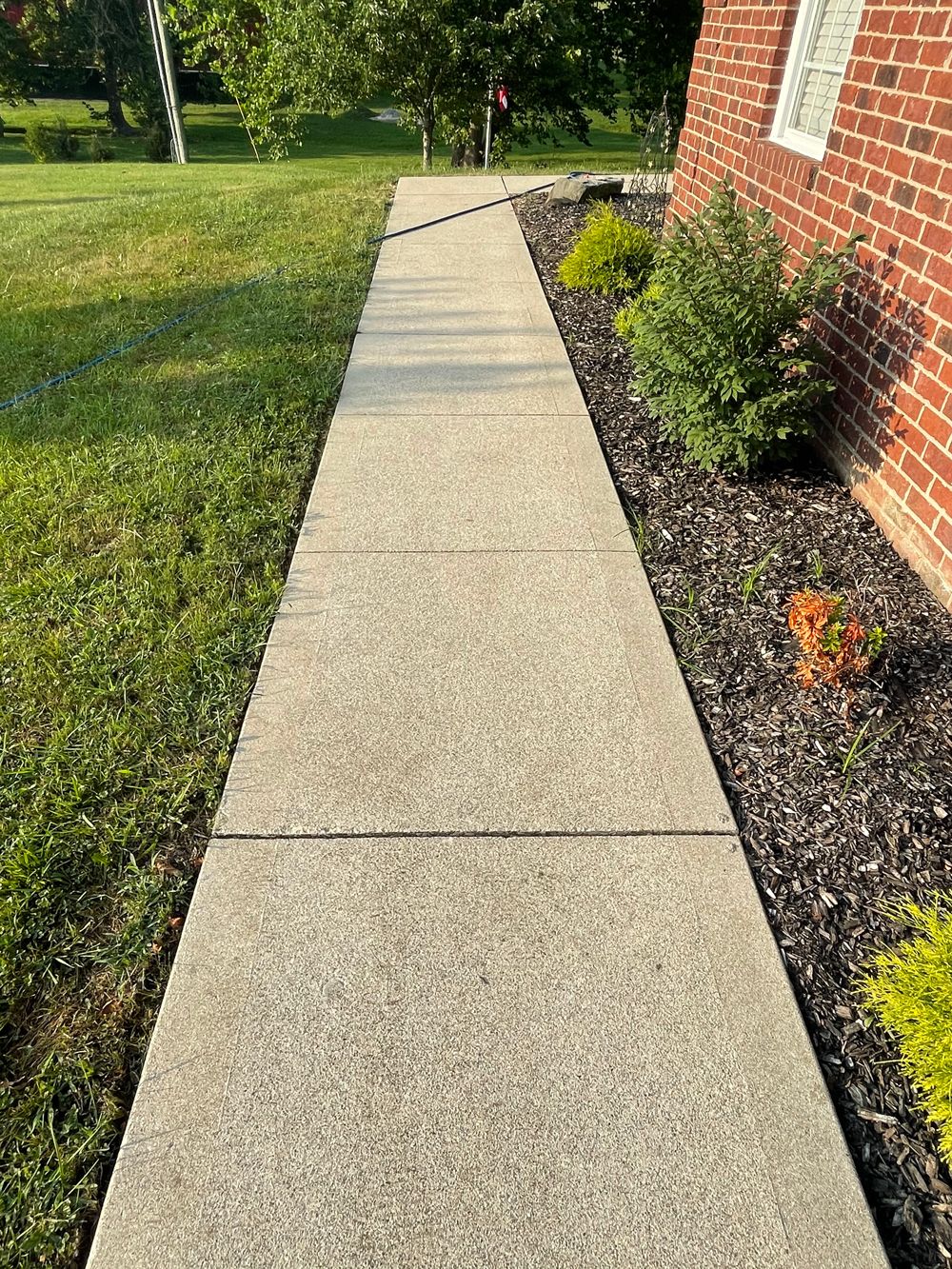 Clean Path Walk