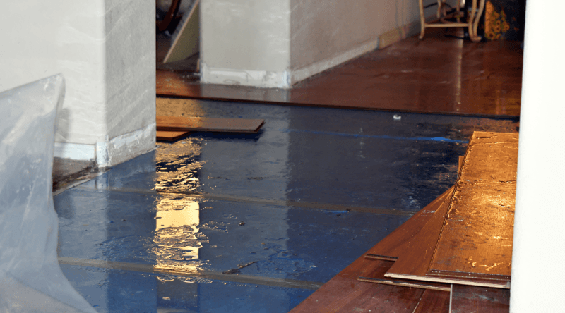 A close up of a white wall with black spots on it