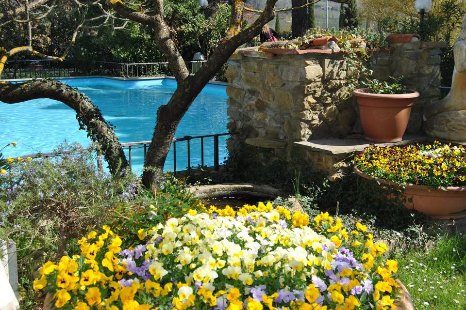 location con piscina ad arezzo