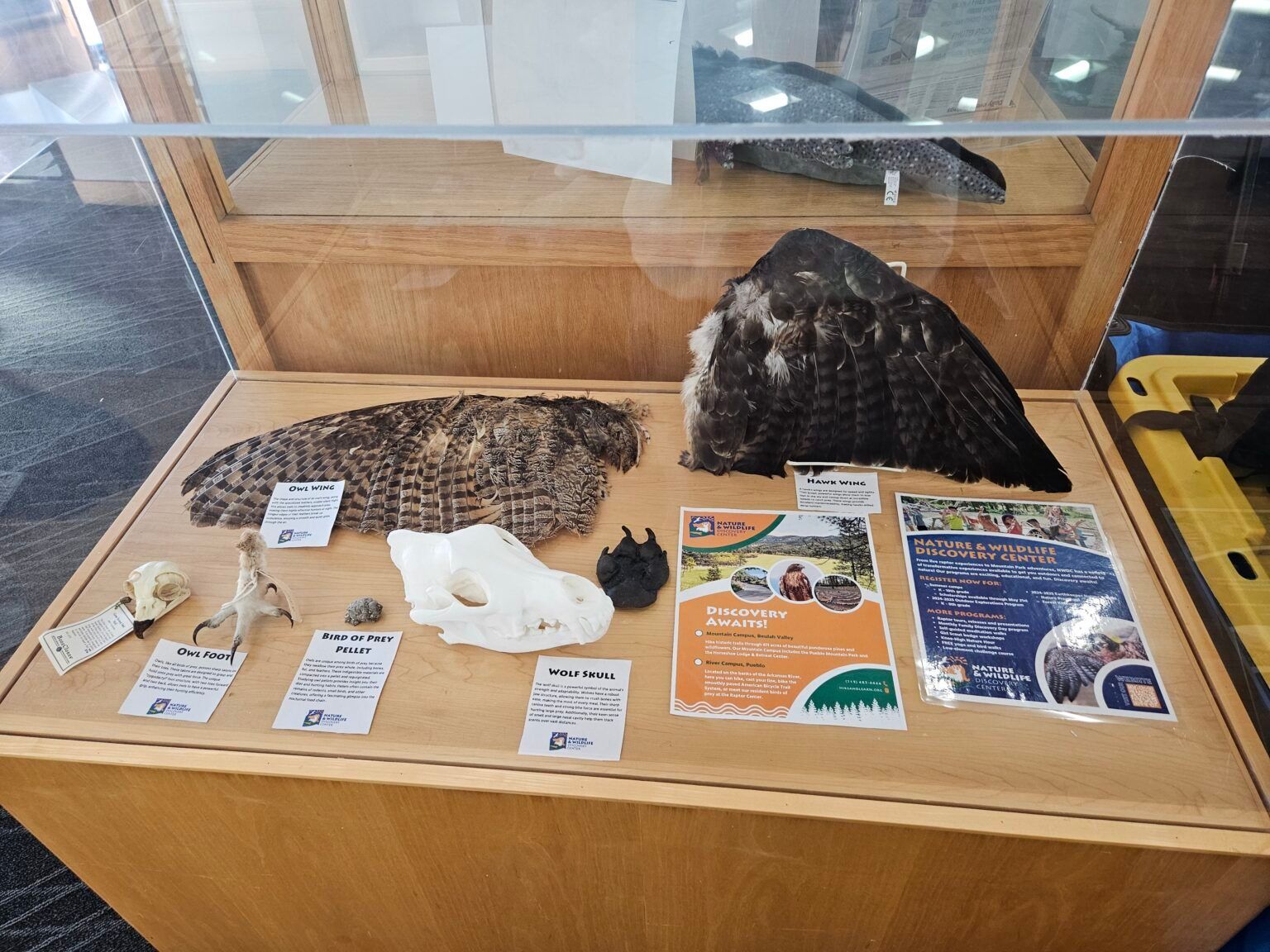 Raptor Display
