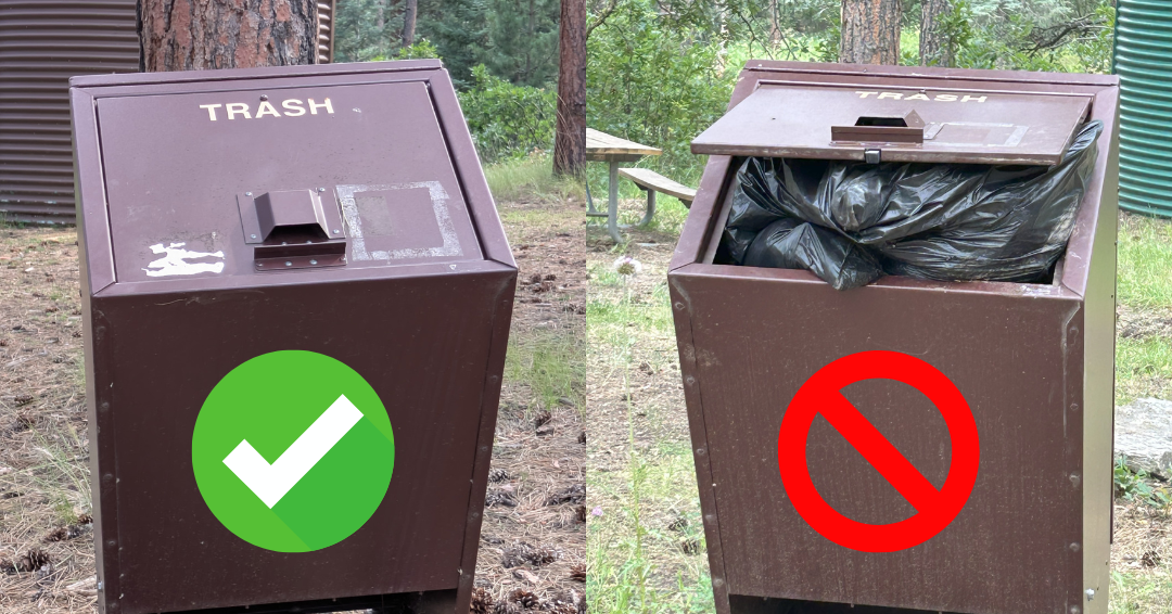 Bear Safe Trash Cans