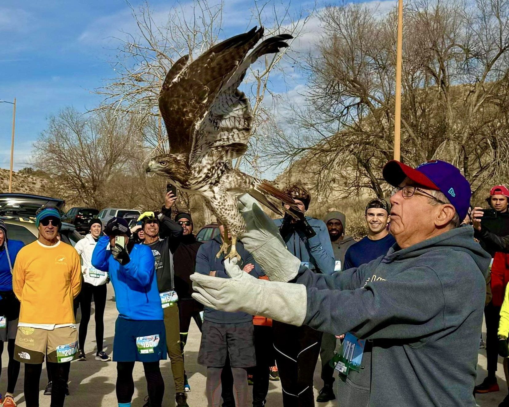 Man Releasing Hawk into wild