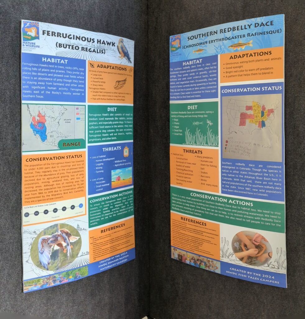 Endangered Posters