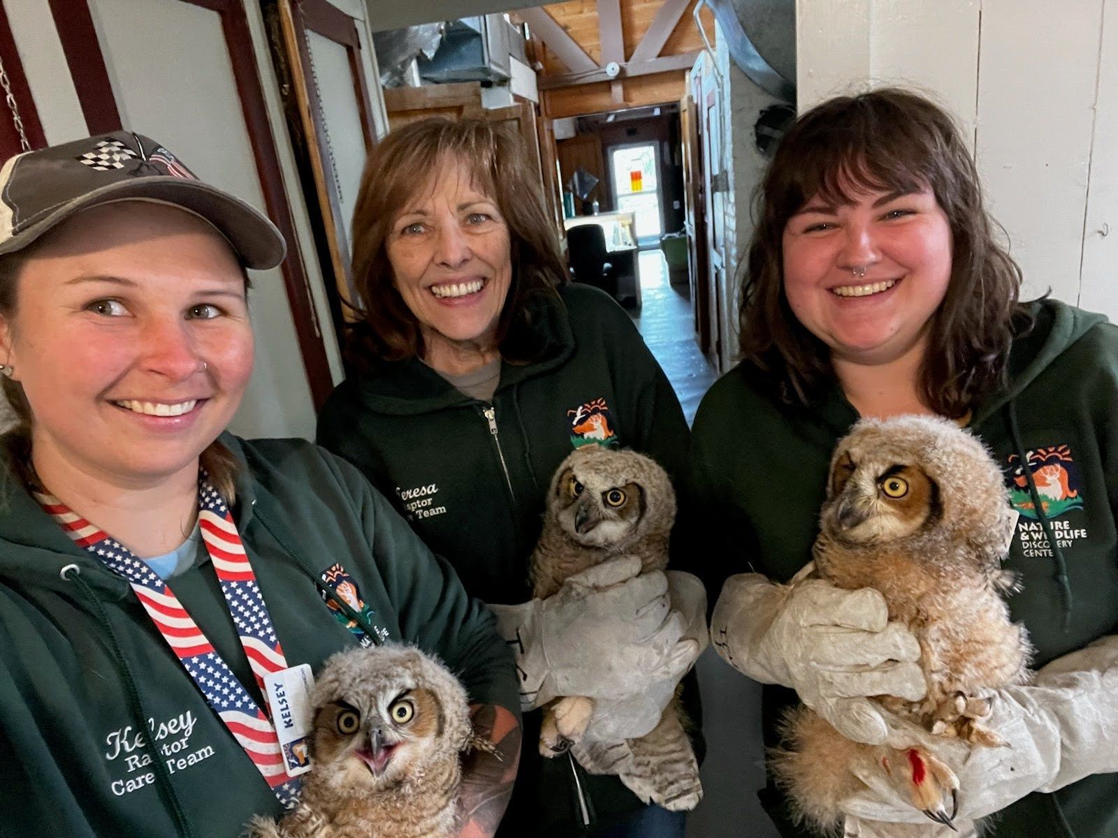 Three Owlets