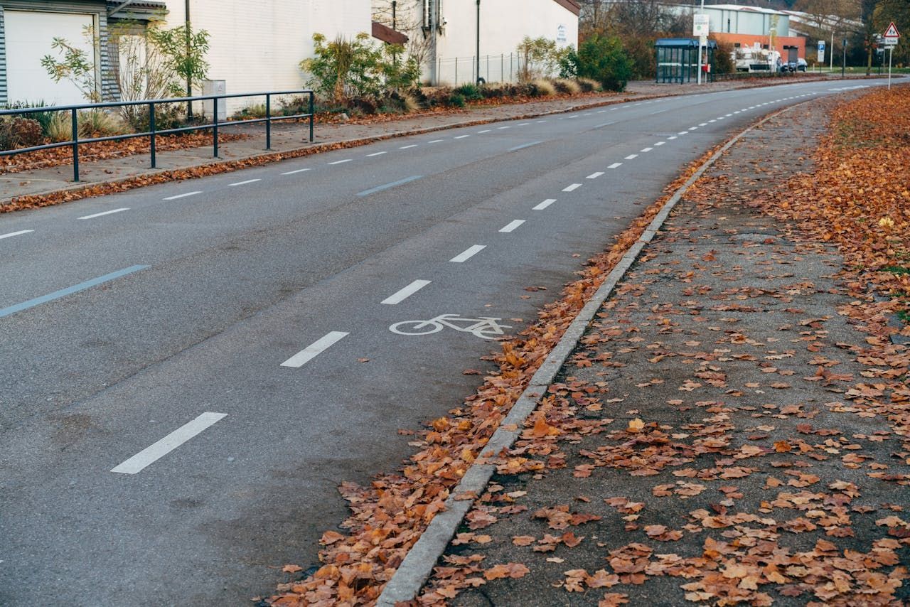 Asphalt road with bike lane, lined with white markings. Leaves cover the roadside. Buildings in the background.