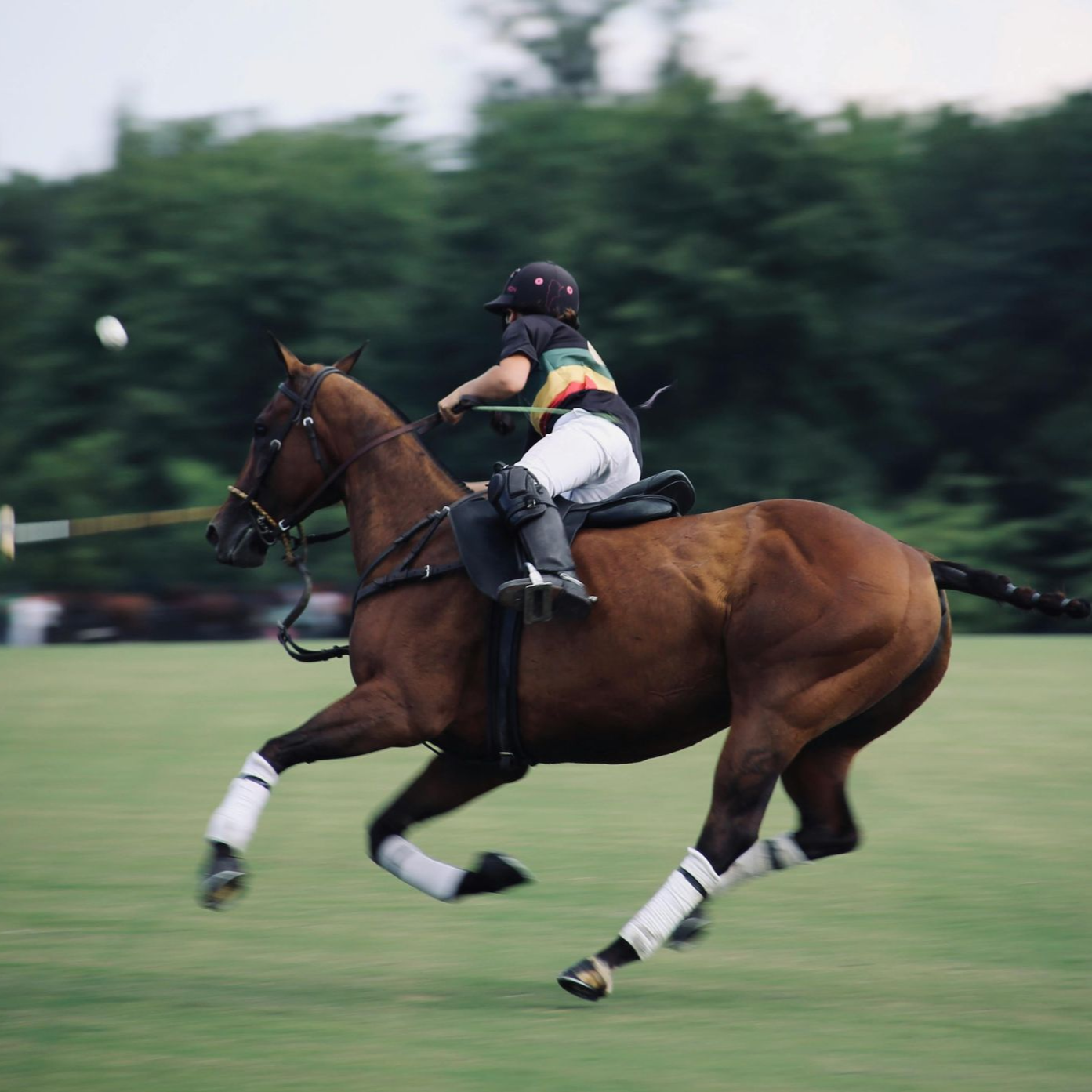 A polo player on a brown horse hits the ball. They're on a grassy field, trees in background.