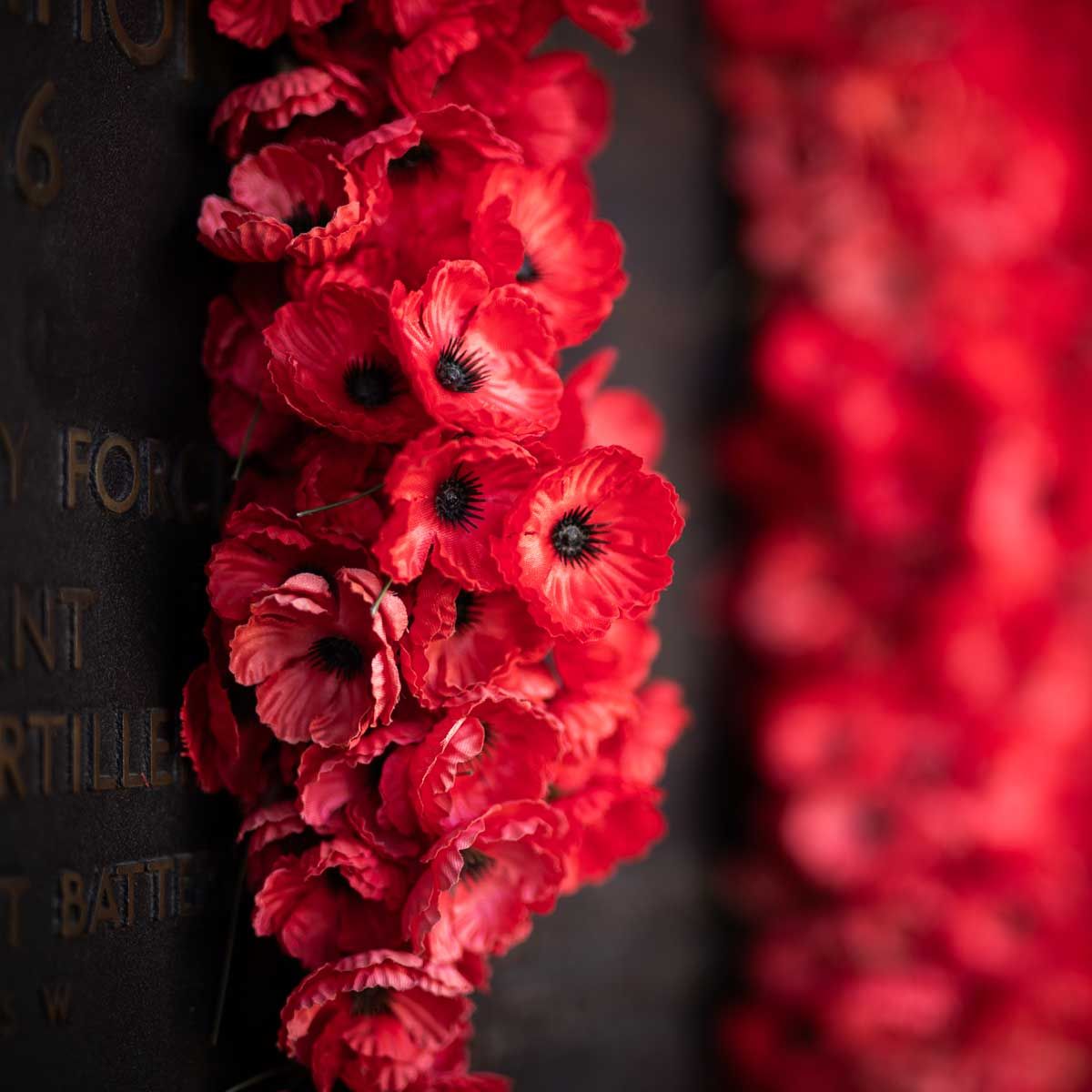 Red poppies, a symbol of remembrance, are arranged on a dark war memorial.