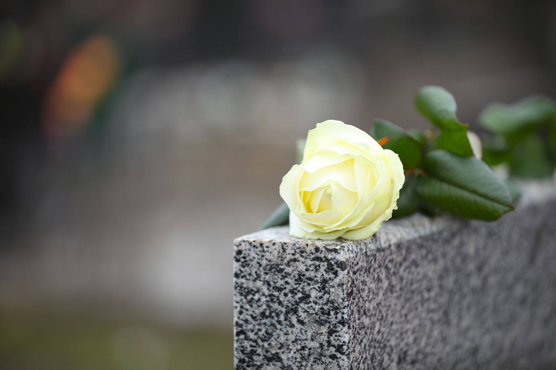 A man in a suit is holding a white rose in front of a coffin.