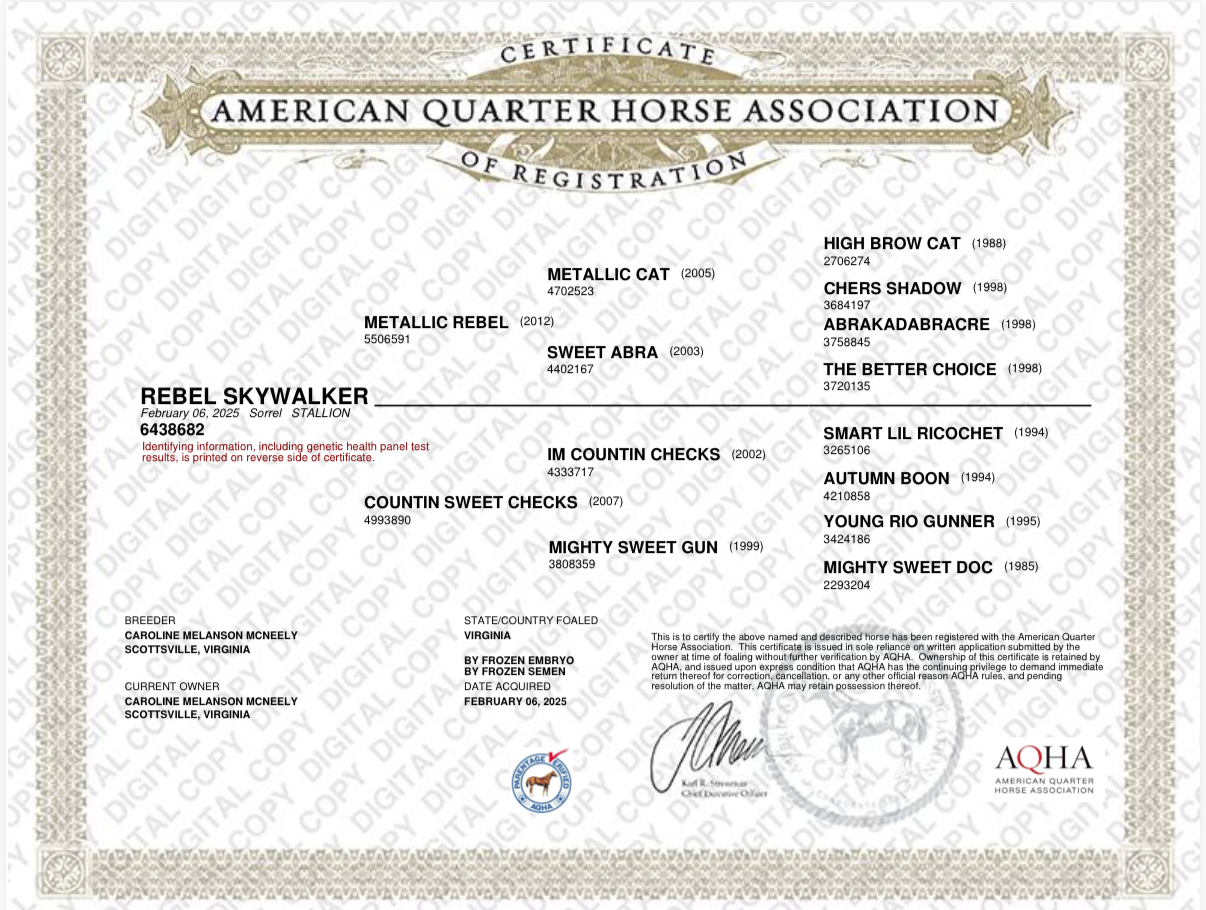 Diamond C Farm This Chicas An MVP