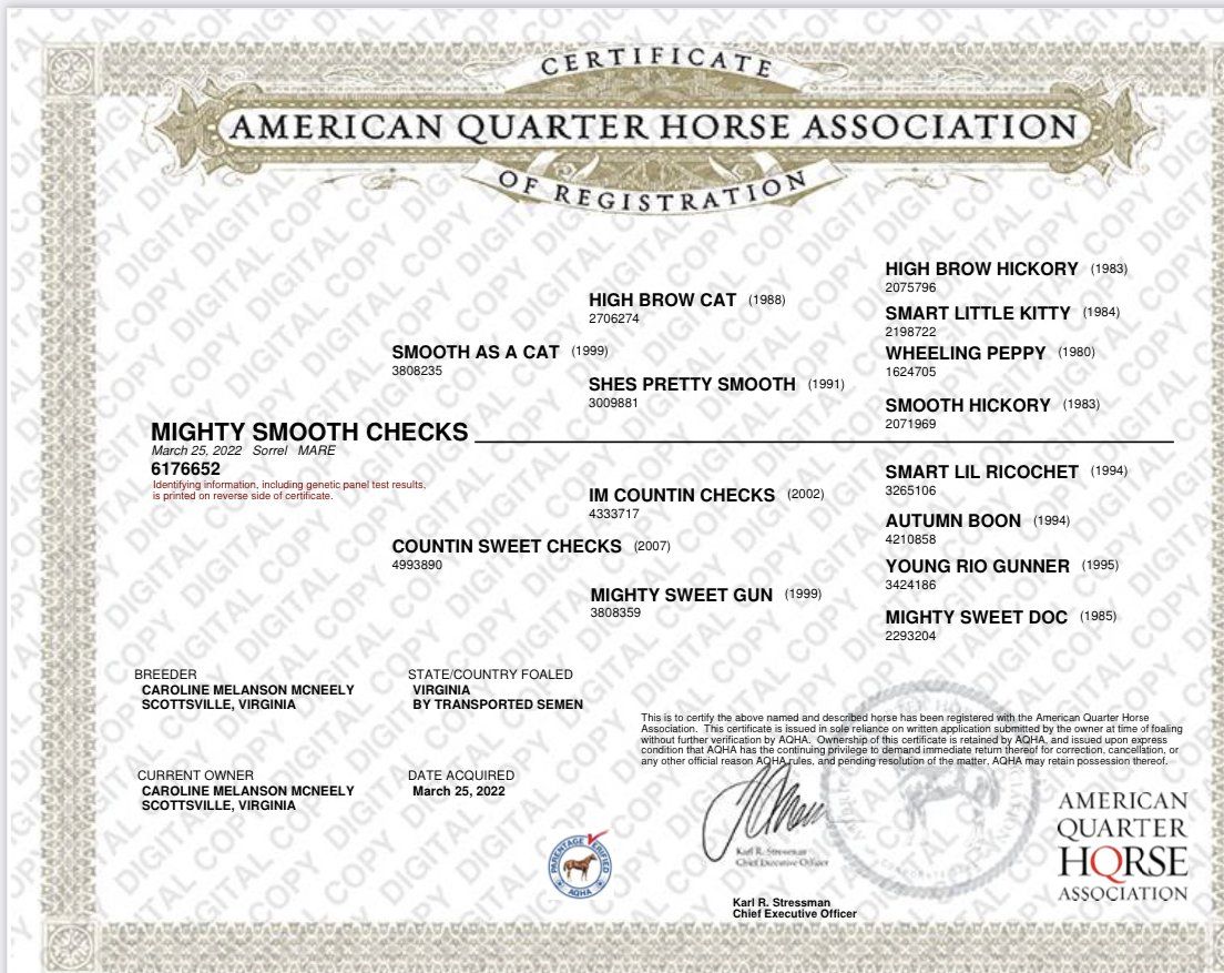 Diamond C Farm Mighty Smooth Checks