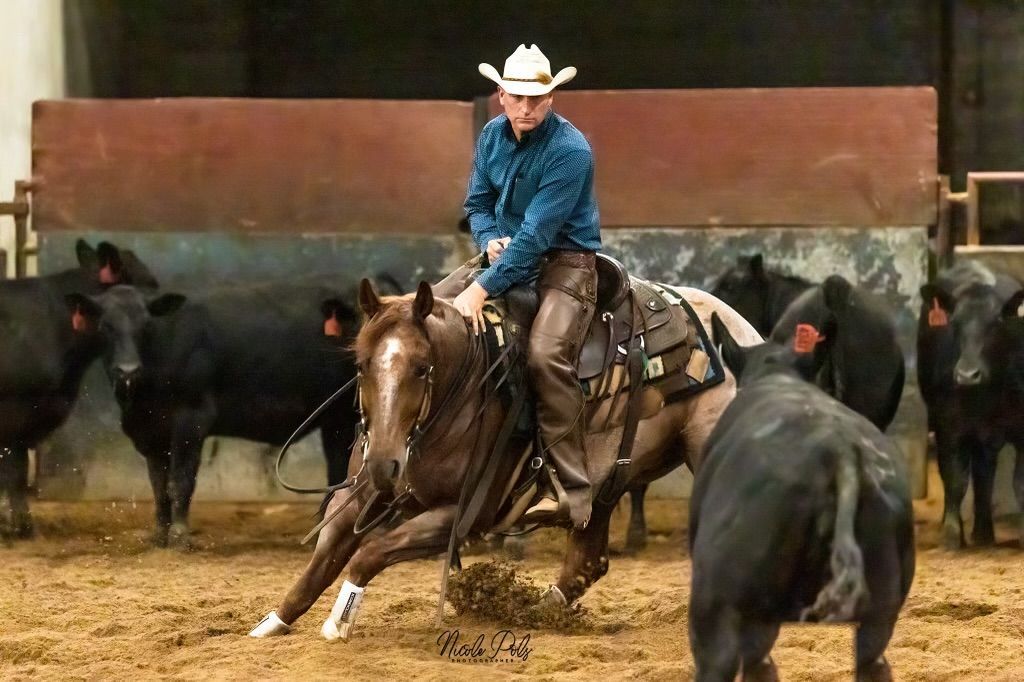 Diamond C Farm cutting horse