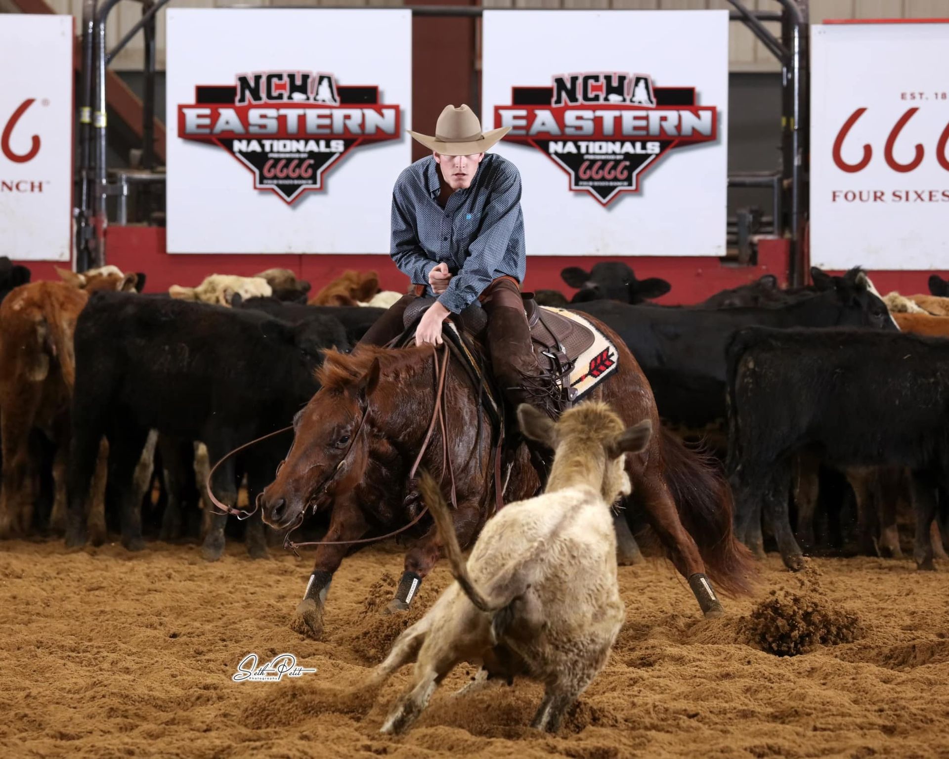 Diamond C Farm Keogh